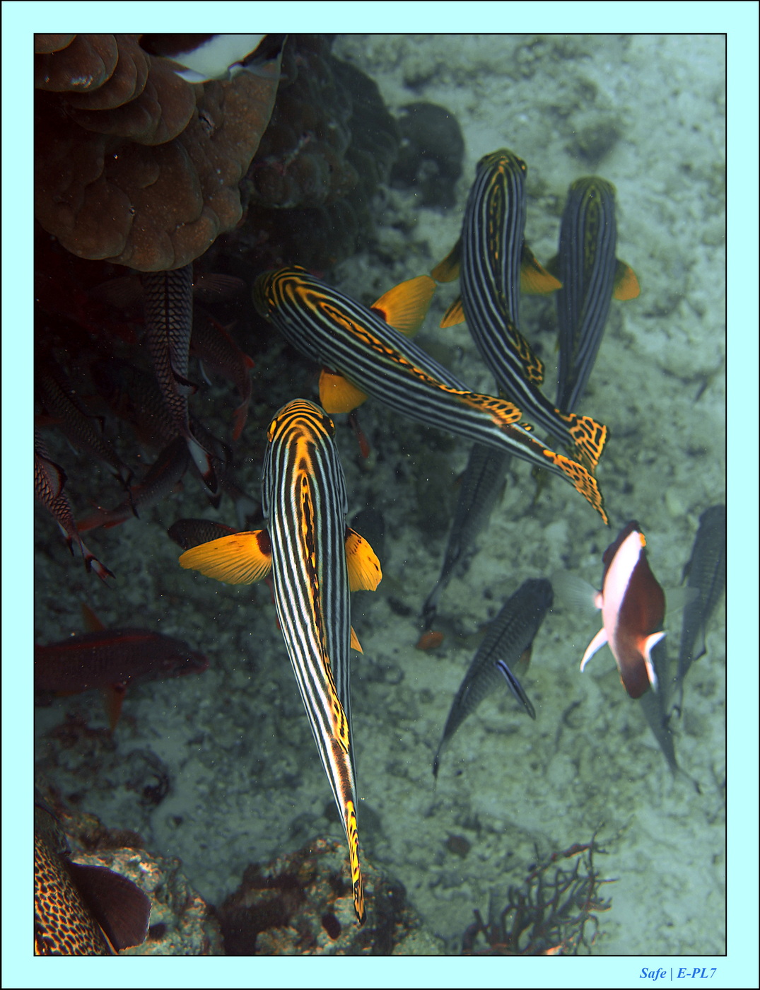 2023 - 07 - Sandies Bathala - 190